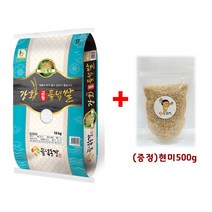 [들녘농장]22년산 강화섬쌀 교동도 교동들녘쌀10kg(단일품종), 1포