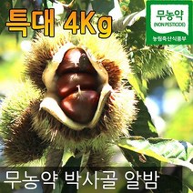 박사골 밤농원 알밤 밤, 1개, 4kg(특대)