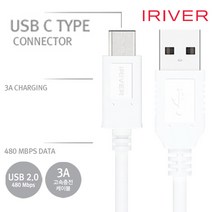 아이리버 갤럭시노트10플러스 C타입 2.0 고속충전케이블, 1개