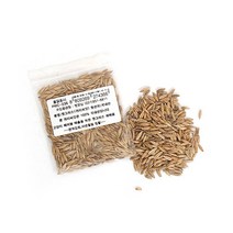 펫모닝 귀리씨앗 12g PMC 236, 본상품