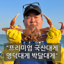 (선주직송) 프리미엄 최상급 포항 국산 대게 영덕 박달 대게 산지직송 택배 (9006), 일반대게(중) 3마리