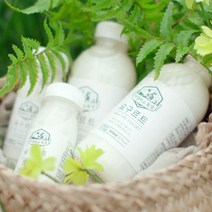 제주아침미소목장 아침미소목장 데일리 요거트 세트 (500ml 150ml), 단일옵션