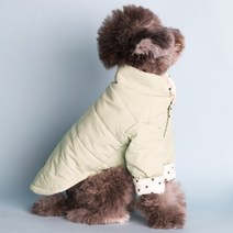 강아지패딩 윙키뉴욕 강아지 애견 겨울 패딩 아우터 점퍼 반려견 외출복 의류 애견옷