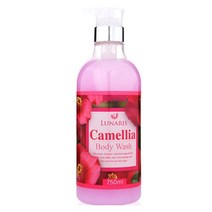 달달한 동백 꽃향 향기좋은 바디워시 750ml x 2개 대용량 대형 바디 클렌져 클렌저 여성 남성 여자 남자 오래가는 향 향지속 땀냄새 몸냄새 사춘기 여학생 남학생, 동백 750ml x 2개