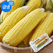 [신선한] 국내산 냉동 초당옥수수 10팩(20개입)/특사이즈17~20cm, 단품