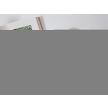 위즈라인 무광 미니볼 소스 종지 7컬러, 2호, 블랙