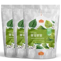 닥터비옴 100% 국산 뽕잎가루 300g x 3개