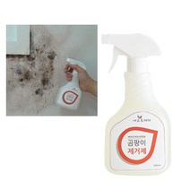 방안 곰팡이 억제제 2개 씽크대 외벽 원룸 반지하 욕실천장 벽 곰팡이 제거방법 냄새 제거, 곰팡이 제거제 500ml 2개