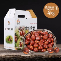 공주 정안 옥광밤 4kg(대) / 산지직송 / 고맛나루 햇밤 2022년산, 1개