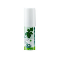 덴티스테 후레쉬 브레스 스프레이, 15ml, 2개