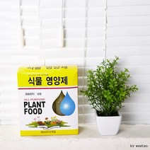 스투키분갈이 화분 분재 (ABM 콜) 식물 영양제 마당 텃밭 스투키 금천수 분갈이 상토, 상세페이지 참조