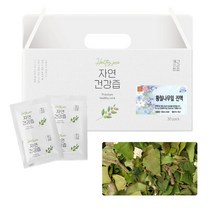 국산 황칠잎 황칠나무잎 차 즙 건강즙 진액 엑기스 액기스 100ml 30개입