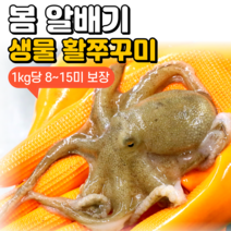 [당일조업] 안군수산 서해안 봄 생물 활 알배기 쭈꾸미 500g 1kg, 2. 생물 활 쭈꾸미 2kg (12~24미)