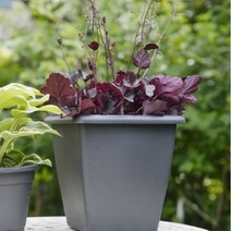 분갈이화분 마이플랜트