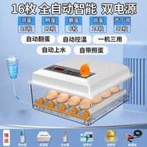 병아리 부화기 온도 자동 조류 대형 체험 학습장 다층, 16개 전자동 더블배터리 부화기