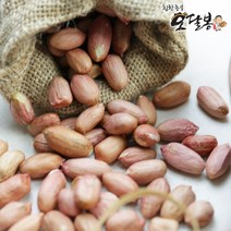 [특품] 2022년산 햇 국산 생땅콩 날땅콩 국산땅콩, 1개, 4kg(1kgx4)