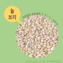 2022년산 국내산 보리밥 보리쌀 늘보리 1kg, 1개