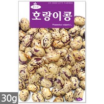 송송이 방울토마토 씨앗 50립 - 방울토마토씨앗 토마토씨앗 방울토마토씨 토마토씨 채소씨앗 주말농장 텃밭, 21_호랑이콩(30g)