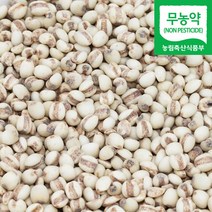 직송 국산 무농약 율무 율무쌀 생율무, 1개, 500g