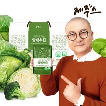 [제주스] 제주 유기농양배추즙 30포, 상세 설명 참조, 상세 설명 참조
