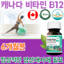식약처 인증 캐나다 직 수입 기능성 안전성 인정 비타민 B 12 단일 성분 조효소 채식 주의자 정상적인 엽산 휴대 간편한 초소형 타블렛 건강 기능 식품 영양 보충 제 파는곳 추천, 2