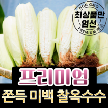 [최대 22cm 엄청난 길이] 강원도 찰옥수수 햇 미백 옥수수 흑찰옥수수 냉동 산지직송 못난이 특품 5개 10개 20개 30개 50개, 0-2) [못난이] 미백 찰옥수수 30개