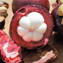 언니상점 태국 망고스틴 생과 항공직수입 열대과일, 1kg (8~14과)