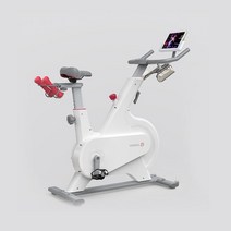 실내자전거 홈쇼핑실내자전거 좌식 전기 운동 자전거 마그네트론 조용한 회전 가정용 체중 감소 장비, [01] White