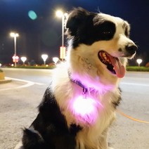 led빔펜던트 강아지 고양이 댕댕이 팬던트 애견 야광 야간 밤 산책용품 패션펫플 불빛, 핑크