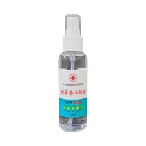에버클린케어 손소독액 100ml 에탄올 살균 의약외품 손세정 99.99% 휴대용 손 소독제