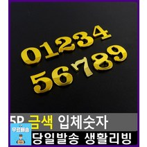 레슨실 연습실 호수 표시 부착 입체숫자 문구쇼핑몰 현관번호판 도어사인 디자인소품 가격표 아파트문패, 1개, 33333