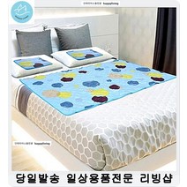 땀많은 아이 시원한 침대 쿨매트 냉장고매트 여름패드 신혼집인테리어 여름, 쿨매트 더블 세트