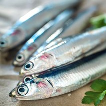 남해 손질 조림 멸치 1kg 제철 2023년도 햇멸치 멸치쌈밥 조림용, 1개