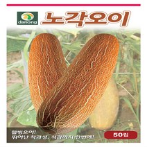 노각오이 씨앗 500립
