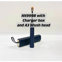 전동칫솔모 필립스 호환 소닉케어 Hx9900 시리즈 전동 칫솔 핸들 프레스티지 SENSEIQ 지능형, 한개옵션1, 02 HX999B charger set B