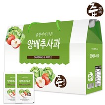 즙쟁이 양배추사과즙 1박스 30포 양배추즙, 1개, 2700ml