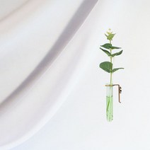 데일리스윗 고급향20종 황동 벽부착디퓨저, 향_자몽