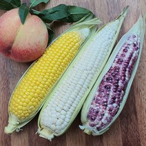 선별품 미백찰옥수수 햇옥수수 선별특가 농부직송, 미백찰옥수수 상품 20개
