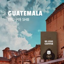 미스터콩 과테말라 안티구아 SHB (당일로스팅 원두커피), 분쇄안함(원두), 100g