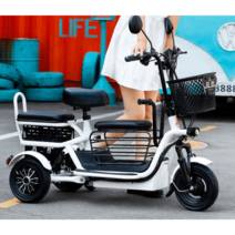 3륜 전기자전거 세발 2인용 여행 출퇴근 이동 바이크, 상세이페이지 참고, 싱글 드라이브 리튬 20A 80km 2인승