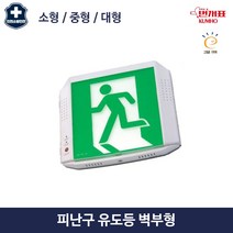 비상구 유도등 소방 피난구 표지 벽부형 소형 중형 대형 금호전기 화재 대피, 4.양방향