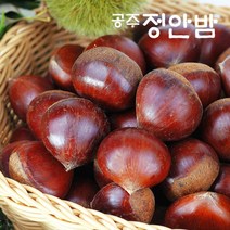 푸드마인 22년 공주밤 정안 알밤 4kg특품 햇밤