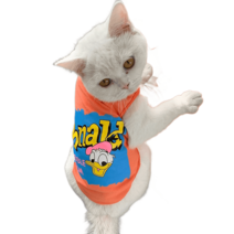 강아지견주커플룩 강아지커플룩 강아지시밀러룩 커플룩 캐릭터 댕플룩 옷 애견의류 펫, 오렌지색