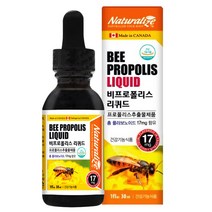 타이거아울렛 비 프로폴리스 리퀴드 30ml x 1병 액상 원액 구강항균 항산화 플라보노이드 성인 유아 어린이 키즈 아기 플로폴리스 폴리폴리스, 단품, 단품