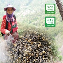건고사리 2023년 3월 햇고사리 지리산 친환경 유기농인증 100g