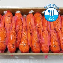 [대용량] 자숙랍스터 4.54kg 1박스 (냉동 버터구이 찜 구이), 300/350