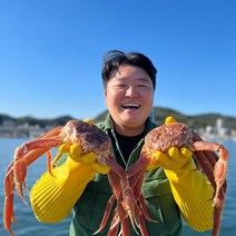 국내산 동해바다 제철 대게 수율보장, 국산대게(자숙찜/찜비무료), 준박달대게 대 3마리(자숙)_수율80%내외