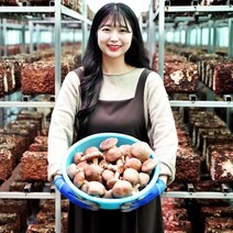 표고버섯 1kg 건표고 생표고 마른 말린 표고 국내산 종균 배지 재배 실속형 파지 못난이, 건표고버섯, 통 건표고 100g