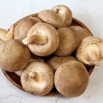 광헌팜 생표고버섯 1kg/2kg/4kg, 표고버섯 가정용 1kg
