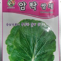 [가람종묘사] 암탁쌈채 씨앗(항암성분이 풍부한 기능성 쌈채소 품종)
